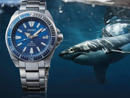 Diver sa dušom Velike Bijele Ajkule