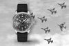 IWC Pilot's Watch Mark XX Patrouille Suisse