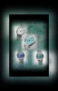 Novi Citizen Titanium Small Seconds