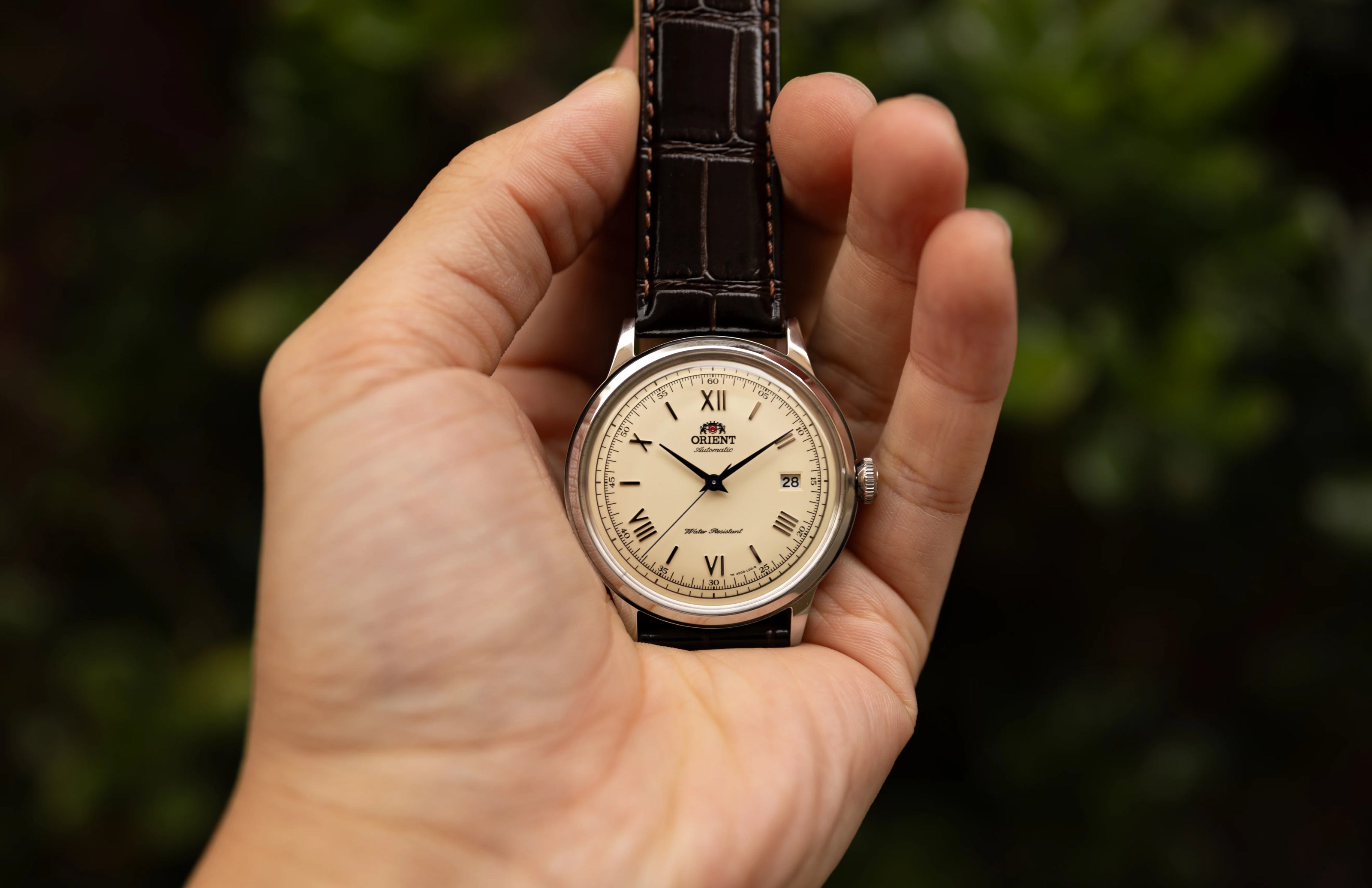 ORIENT Bambino Version 2 - Cream